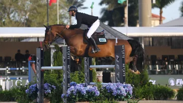 Sous la selle de Richard Vogel,  Phenyo van het Keysersbos a remporté sa première épreuve à 1,50m, ce samedi à Abou Dabi