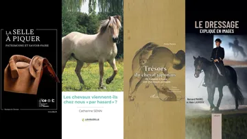 Une sélection à déguster sans crainte ni modération.