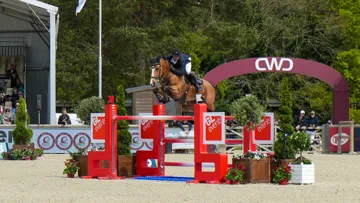 Julien Anquetin et Fulldollar de Raygade sont imbattables dans le Masters 5* de Fontainebleau.