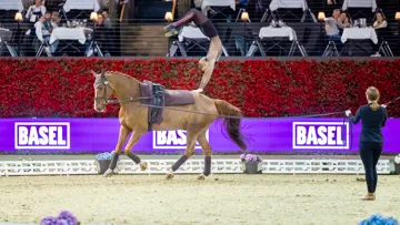 En Suisse, Kathrin Meyer est devenue la première femme voltigeuse à décrocher trois fois d’affilée la finale de la Coupe du monde.