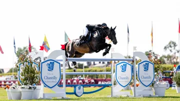 Marc Dilasser et Arioto du Gèvres se sont imposés de main de maître face aux Grandes écuries