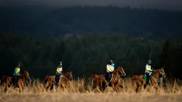 Seuls trente et un des quatre-vingt-deux couples au départ ont rallié l’arrivée.