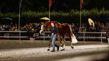 Trente-trois lots sont passés sous le feu des enchères samedi soir.