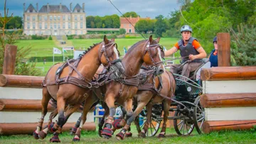 Le public verra à l’œuvre des attelages à un, deux et quatre poneys.