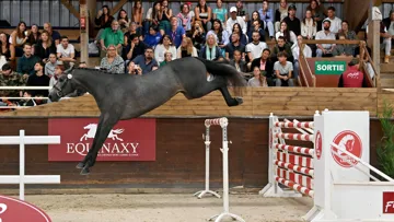 Le formidable Miramar Mail a déchaîné la salle et fait monter les enchères jusqu’à 165.000 euros.