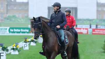 Luc Château a montré la piste de Blenheim à Cocorico de l’Ébat ce soir