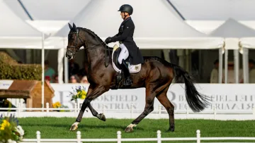 Michael Jung et Chipmunk ont réalisé une reprise fantastique