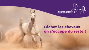 Lâchez les chevaux, AssurEquine s’occupe du reste !