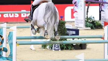 La révision quadriennale du règlement de jumping a été couronnée de succès, au moins du point de vue de la FEI
