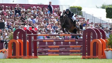 Ici à Chantilly Classic en 2024, Bellini Dufaure de L se consacrera désormais à la reproduction