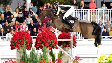 Nicola Philippaerts et Gadget Mouche ont été les meilleurs, hier soir à Ocala