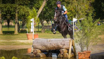 Troisième du championnat de France des six ans l’an dernier à Pompadour avec Fabrice Lucas, Facebook du Vinnebus semble avoir les atouts pour devenir un bon performeur en complet.