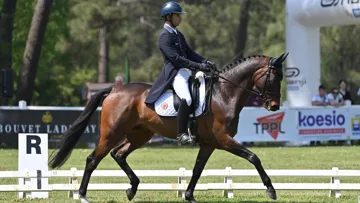 Astier Nicolas & Alertamalib'or