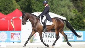 Ce soir, Nicolas Touzaint et Absolut Gold*HDC sont en tête du championnat de France Pro Élite de concours complet