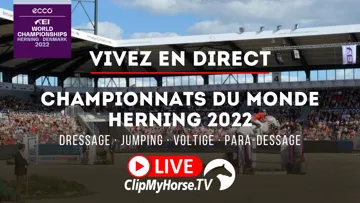 Les Mondiaux débutent demain au Danemark.