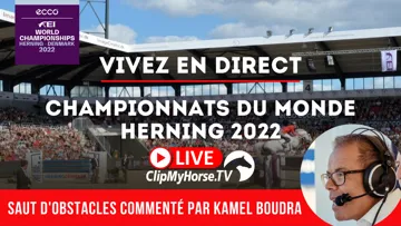 Les championnats sont à suivre en direct