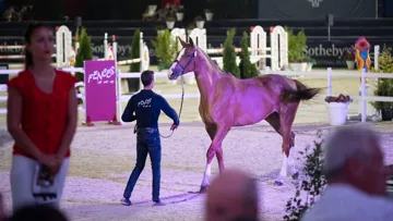 Vingt des vingt-six lots présentés ont changé de main.