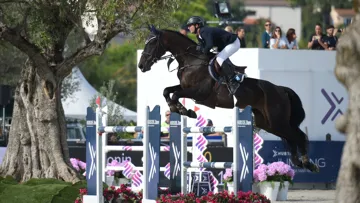 Il y a onze jours, Julien Gonin et Valou du Lys ont remporté leur premier Grand Prix CSI 5* à Grimaud.