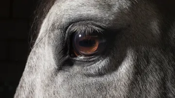 Deux autres rapports seront présentés en avril et novembre 2023.