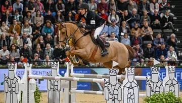 À l’image de son emblématique hôtel des Trois Rois, Bâle a consacré un cheval, un cavalier et leur art tout entier.