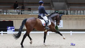 Lisa Cez et Stallone de Hus ont été épatants en Grade V du CPEDI 3*.