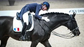 L’automne dernier, Morgan Barbançon Mestre et Sir Donnerhall II se sont notamment classés sixièmes de l’étape lyonnaise de la Coupe du monde.