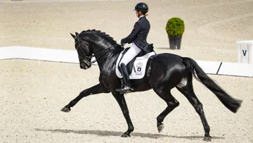 Quel charisme dégagent Charlotte Fry et Glamourdale!