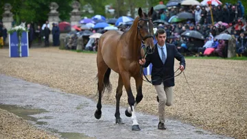 Luc Château et Viens du Mont lors de la deuxième inspection vétérinaire, le lendemain du test de cross. 