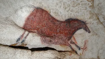Cette peinture de cheval galopant se situe dans la grotte de Lascaux,située sur la commune de Montignac-Lascaux, en Dordogne.
