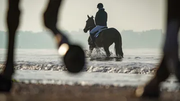 La semaine prochaine, on aura plaisir à revoir de grands champions de saut d’obstacles profiter de bains de mer matinaux, à l’occasion de l’incomparable Jumping international de La Baule.