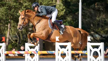 Ici au Printemps des sports équestres à Fontainebleau, Julien Épaillard et Dubai du Cèdre se sont imposés ce soir à Valkenswaard.