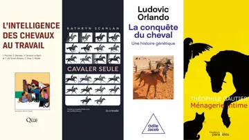 Bel été littéraire à tous!