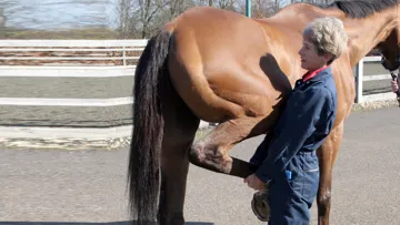 Sue Dyson pratique ici un test de flexion.