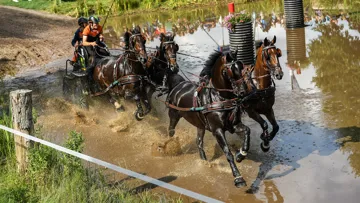 Deuxième à l’issue du test de dressage, le Néerlandais Bram Chandon s'est saisi de la tête du classement après le marathon.