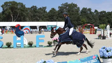 Ayant déjà sailli soixante-dix juments cette année, Jogry d’Odival a été sacré champion des quatre ans C au Sologn’Pony sous la selle de Marjolaine Hess.