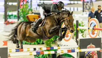 Donatello d'Auge est le meilleur cheval de l'année 2023 selon la WBFSH