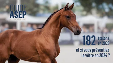 Guide ASEP des étalons de sport 2024: inscrivez votre étalon dès maintenant!