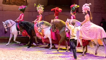 “Désirée”, la nouvelle création du Musée vivant du cheval de Chantilly.