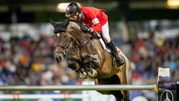 Initialement, le partenaire de Martin Fuchs pour les championnats d’Europe de Milan devait être Conner Jei, son deuxième cheval de tête, ici à Aix-la-Chapelle.