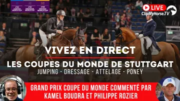 Stuttgart accueille trois étapes des Coupes du monde à l'occasion de ses German Masters !