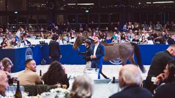 Cinq cent cinquante invités se sont réunis dans le chic manège de Crozet, mercredi dernier.