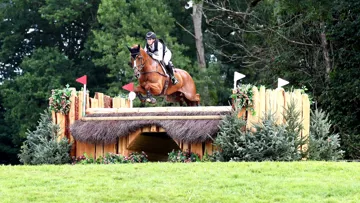 L’Allemande Sandra Auffarth et le Selle Français Viamant du Matz avaient décroché une très belle médaille de bronze l'été dernier aux championnats d'Europe de concours complet, organisés au Haras du Pin par l’association Ustica.