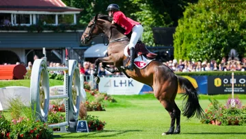 Associé au multimédaillé Steve Guerdat, avec lequel il a représenté la Suisse à de nombreuses reprises en Coupes des nations, Vénard de Cerisy est le meilleur produit de l’élevage de Cerisy. Sportfot