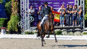Ici aux championnats d'Europe de Riesenbeck, où ils ont terminé trente et unièmes du Grand Prix, José Daniel Martín Dockx et Malagueño LXXXIII se sont imposés à Doha ce samedi