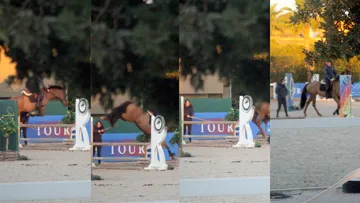 Les faits reprochés à James Smith se seraient déroulés entre deux concours, un lundi matin, en l’absence d’un commissaire au paddock, ce qui suscite des légitimes questions.