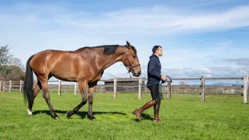 Avec la fantastique Dorai d’Aiguilly*GL events, qu’il a fait naître chez lui, à Vougy, Olivier Perreau a connu une trajectoire singulière, jusqu’à devenir l’un des espoirs français pour les Jeux olympiques de Paris.