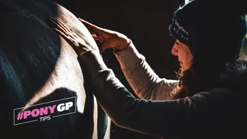 Comment détendre son cheval grâce à trois massages simples, avec Stéphanie de PonyCorn