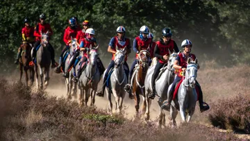 L’an passé à Ermelo, la France a été sacrée championne d’Europe rien qu’avec des chevaux nés et formés dans l’Hexagone.