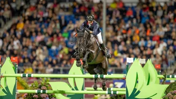 Ayant foulé les plus belles pistes de compétition avec Nicolas Delmotte, notamment celle d’Aix-la-Chapelle, Ilex VP vit peut-être sa dernière saison sportive.