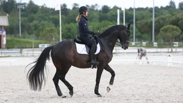 Chefs de file actuels du dressage français, Pauline Basquin et Sertorius de Rima*IFCE étaient à Lamotte pour ce stage.